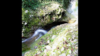 ballade à la Motte-Servolex 20 oct 2014