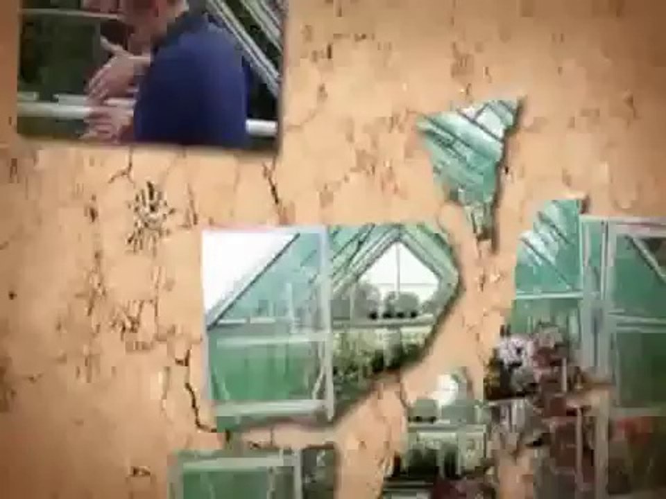 Building A Greenhouse Plans