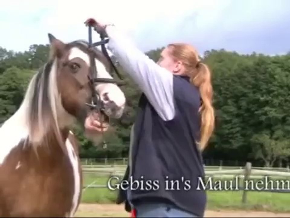 Clickertraining mit Mary - August 2011