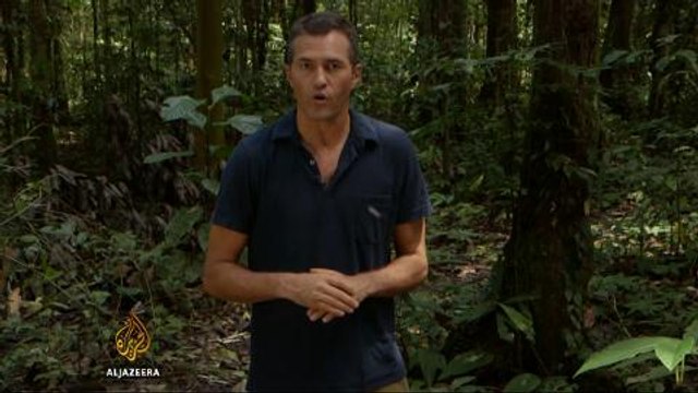 Ecuador's thirst for oil threatens wildlife