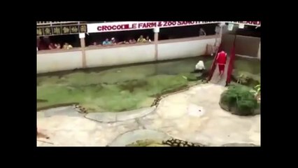 Foolish Crocodile man‬- Pulse TV Uncut