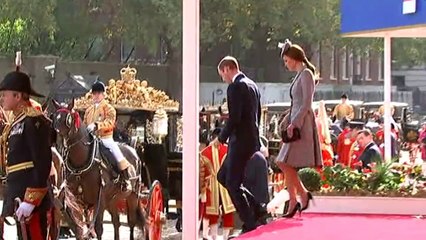 No sign of a baby bump as Kate attends public engagement