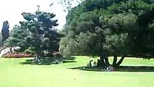 Royal Botanic Garden