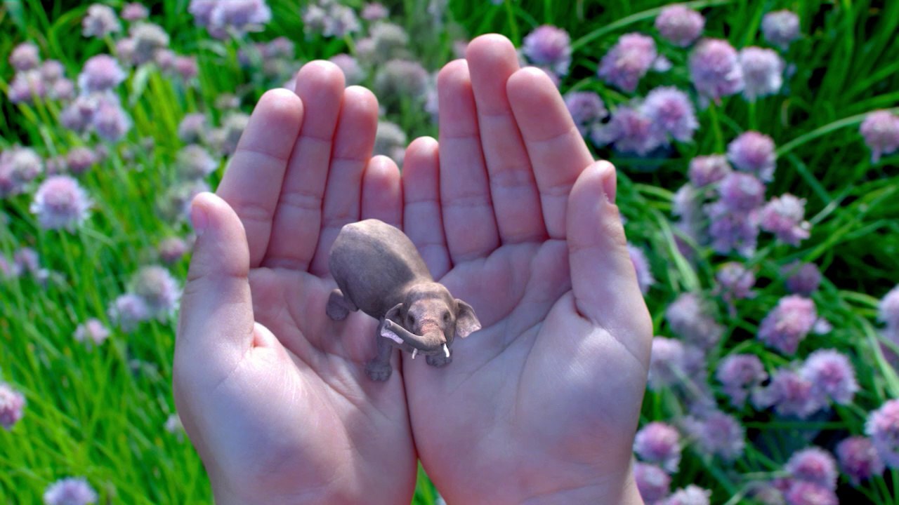 Magic Leap Video