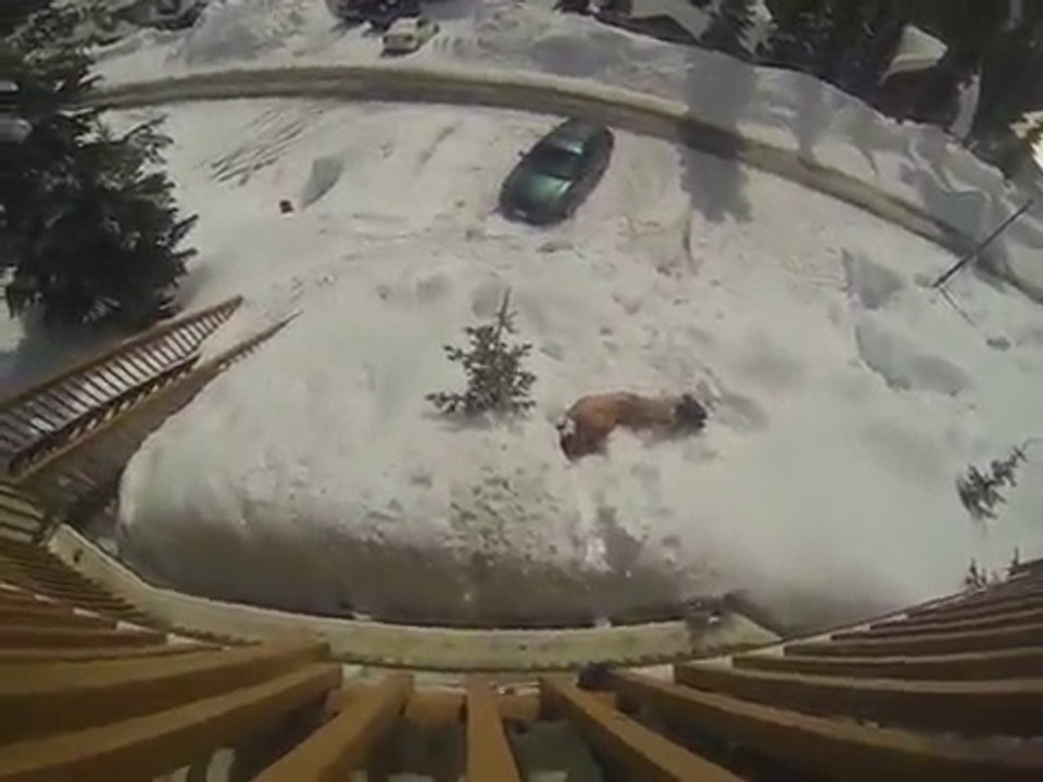 Jeter son pote ivre du balcon. Atterrissage violent dans la neige