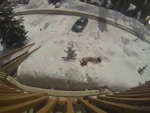 Jeter son pote ivre du balcon. Atterrissage violent dans la neige