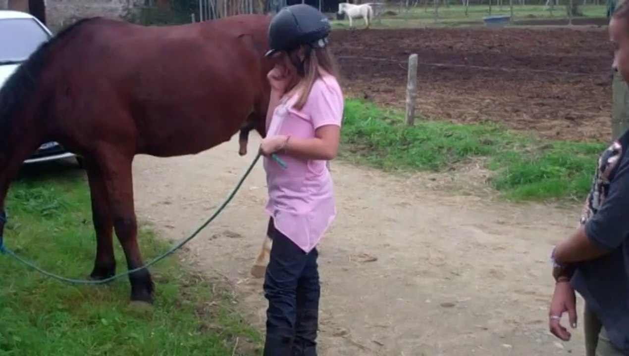 Activité Equitation 11-15 ans