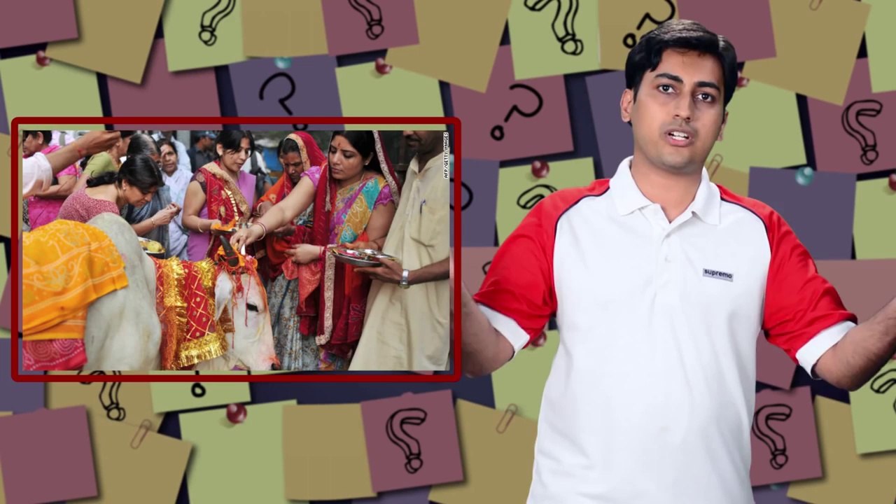 Why do Indians Worship Cows