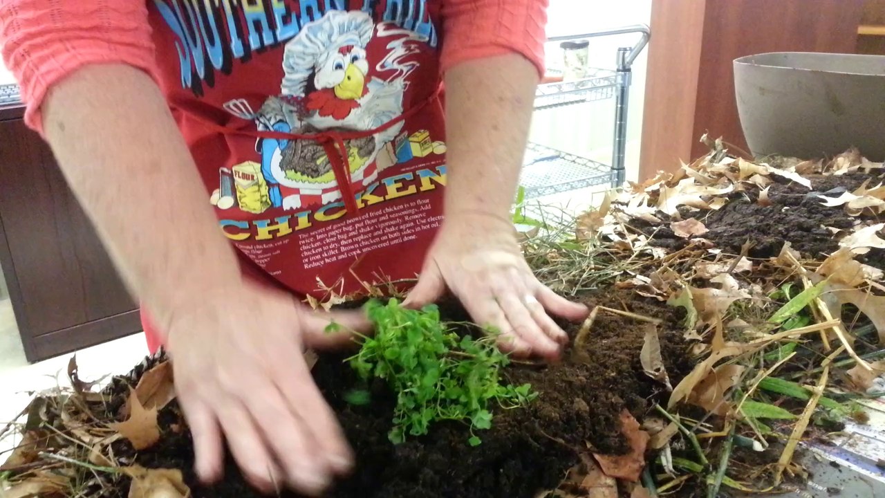 Lasagna Gardening