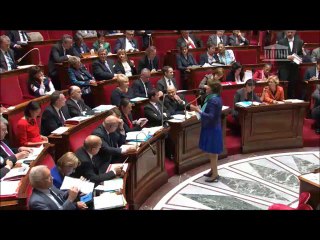 Question à la Ministre de la Santé - Séance de questions au Gouvernement du 21 octobre 2014