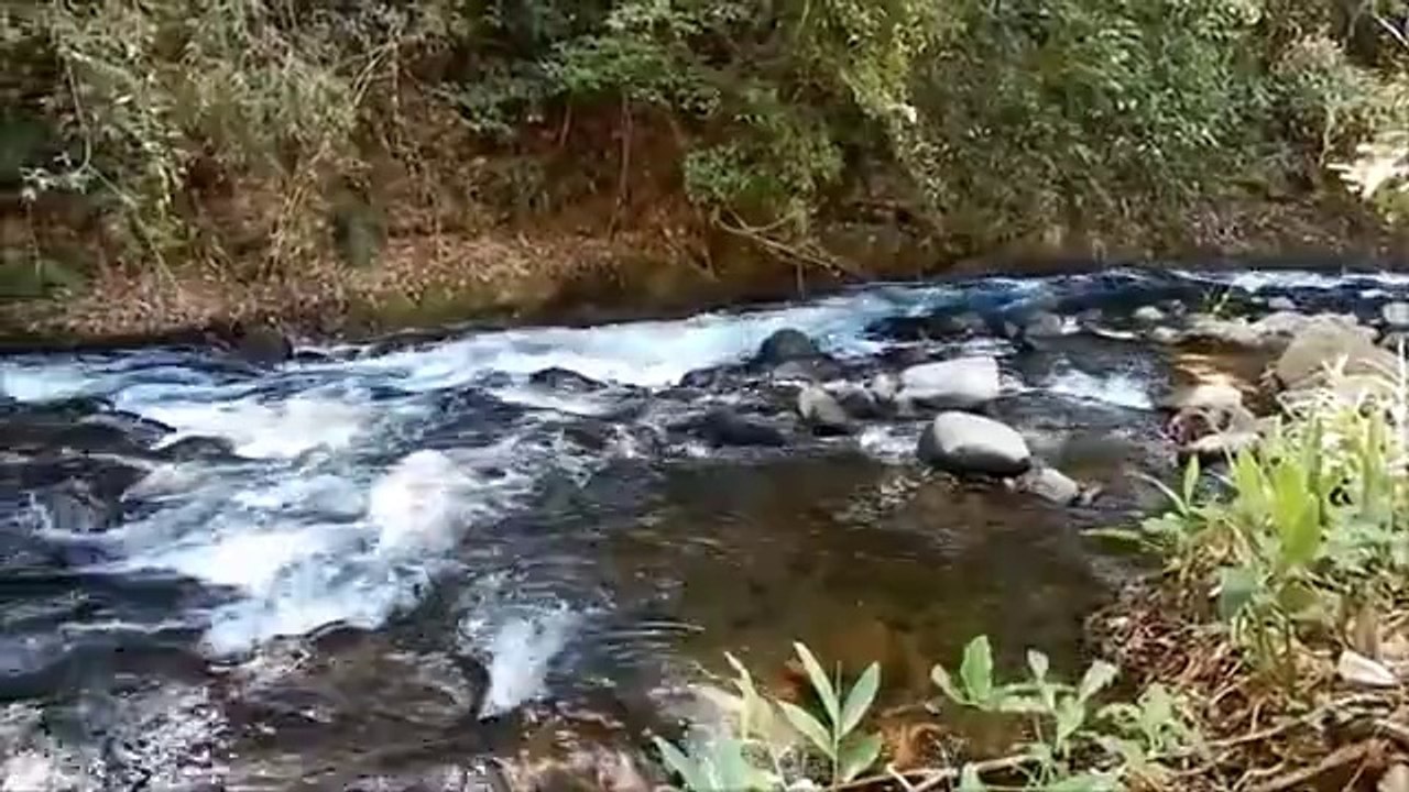 Property For Sale in Costa Rica