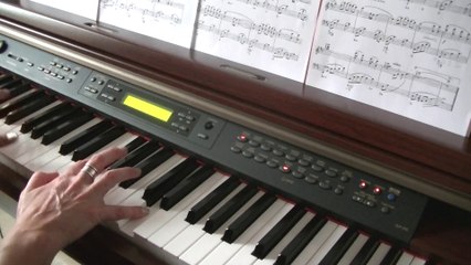 Les fugitifs (thème n°2) - V.Cosma