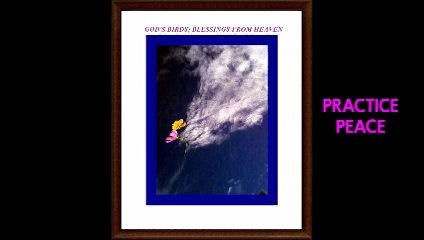 GOD'S BLESSINGS! Birds Of Justice