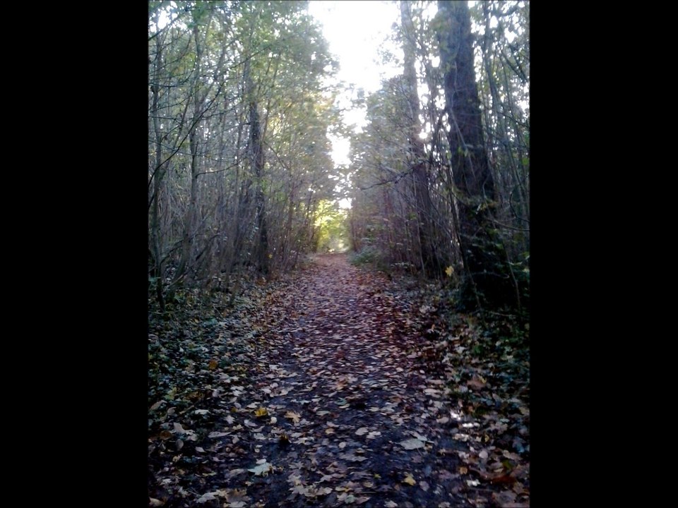 Therapy Suicide pact you first shadow's song.