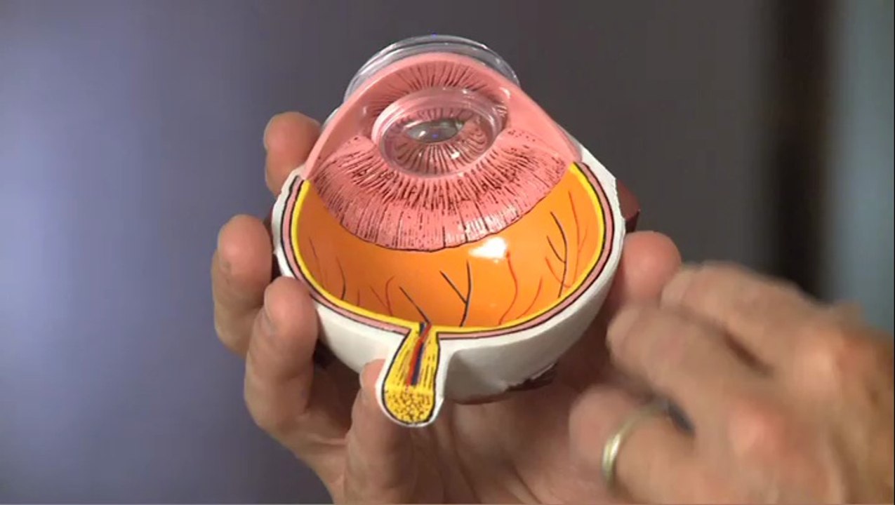 Vitreous Conditions - Long Island - North Shore Eye Care