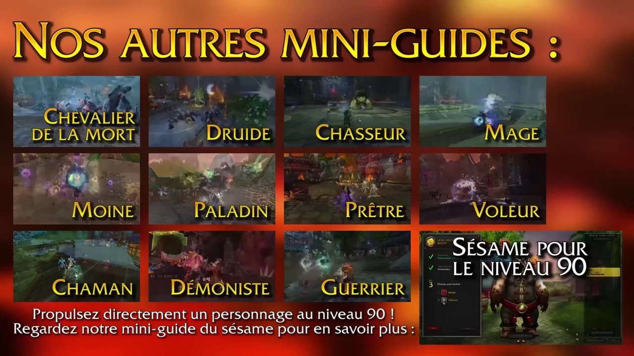 World Of WarCraft - Mini guide du Paladin