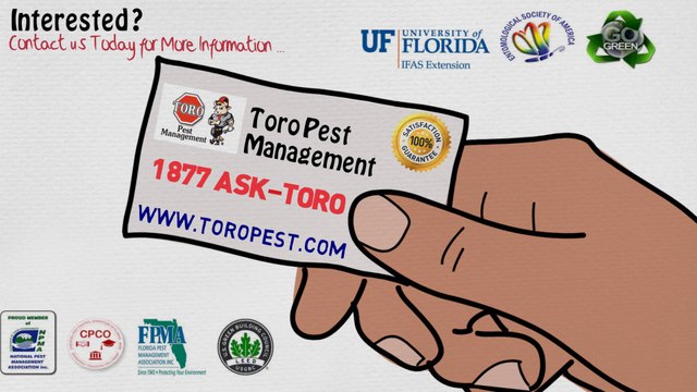 Toro Pest Management Pest Control & Termite Services
