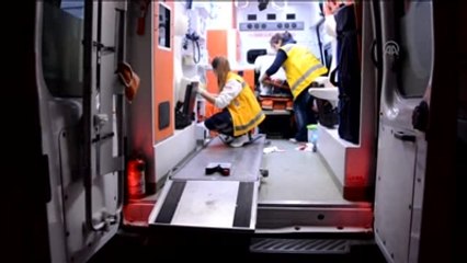 Önce Köpekleri, Sonra Kendileri Kavga Etti