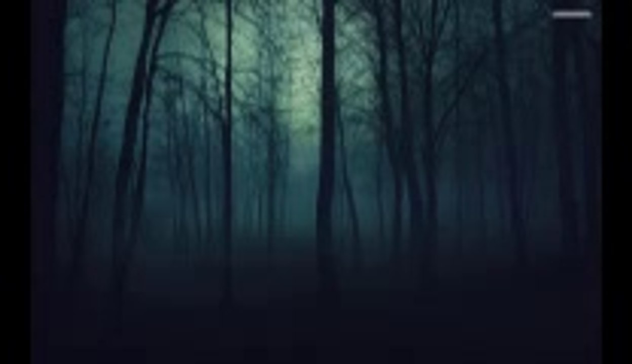Wake me up (cover)