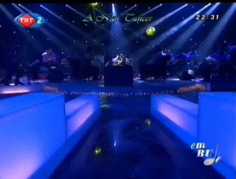 Bedri KOÇAK *Sarı Yaylam Seni Yaylayamadım*