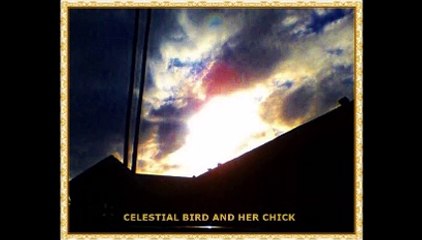 Celestial Bird & Her Chick; Gods revelation