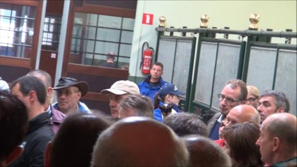 DFVF - Veulenvisite 2014     DFVF-  Visites d' Elevages 2014 1ste  QUALITY STUD (Middelkerke - Slijpe)