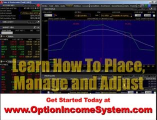 Option Income System