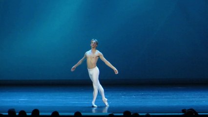 David Hallberg - Dance of the Blessed Spirits