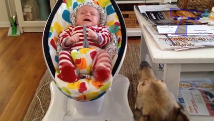 Funny dogs and babies talking - Cute dog & baby compilation