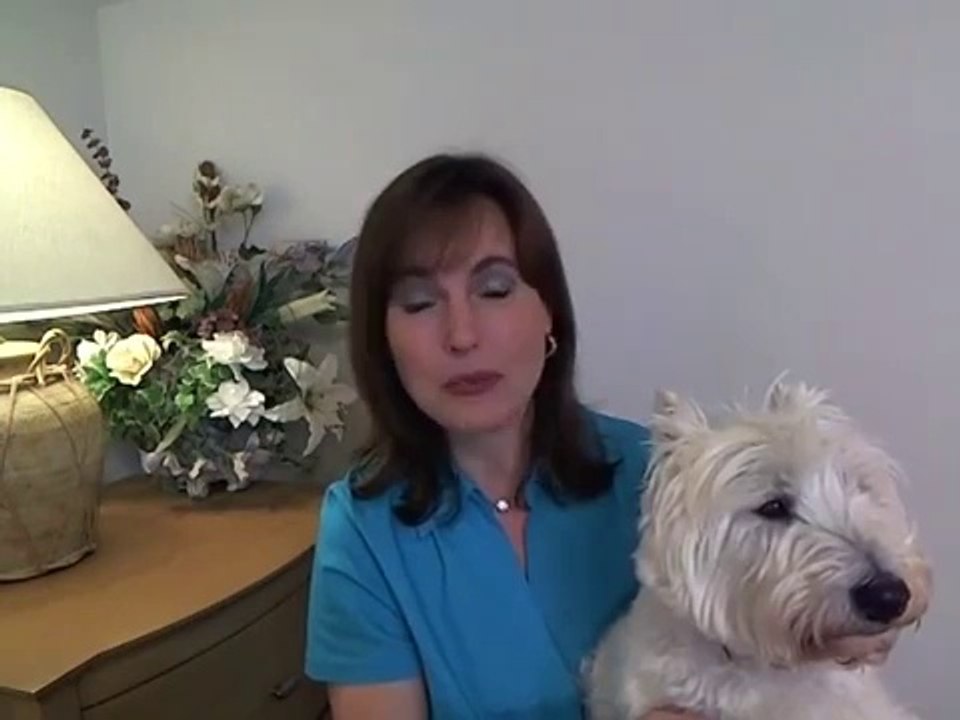 The Dog Training System ~Suzanne Boulder, USA