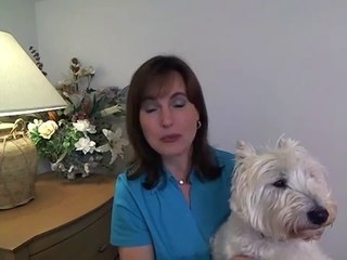 The Dog Training System ~Suzanne Boulder, USA