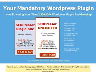 Make a living with seopressor review