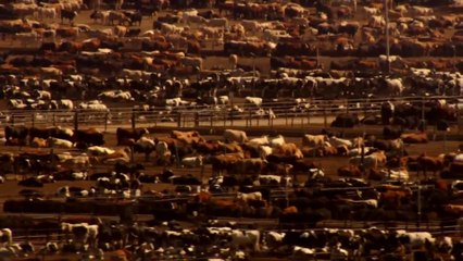 Le Jugement le film choc sur l'être humain