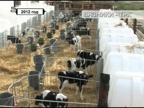 10 лет в эфире. День за днем . Передача от 21.10.2014