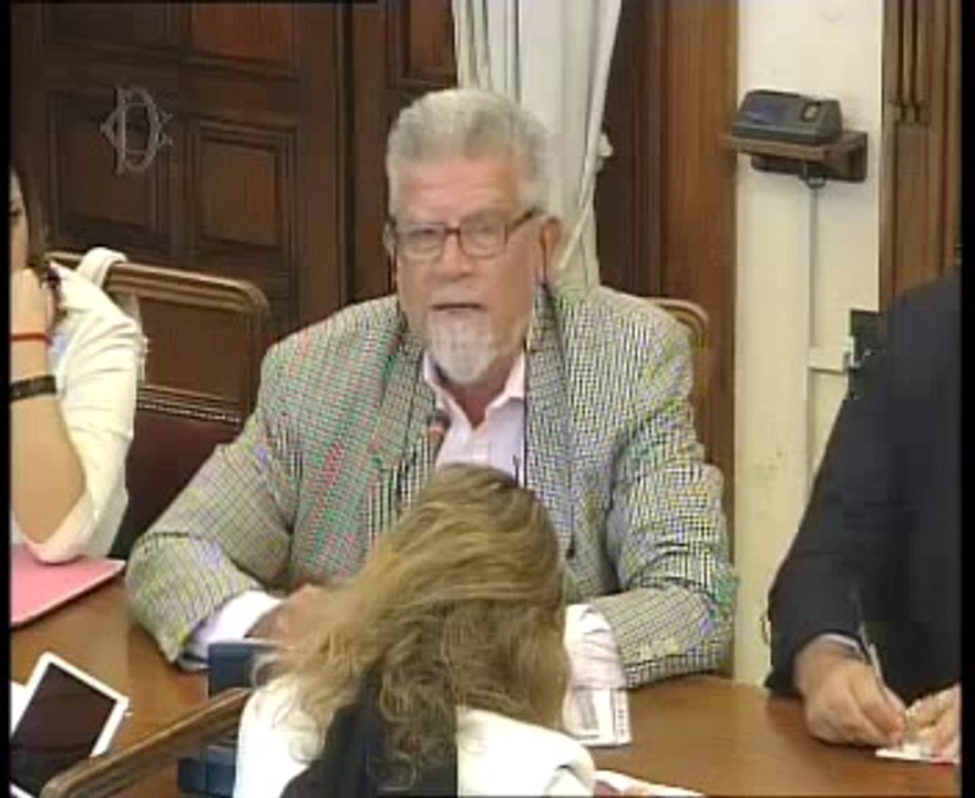 Roma - Rapporti di lavoro, audizioni sindacati Cobas, Confsal, Cub, Usb. (21.10.14)