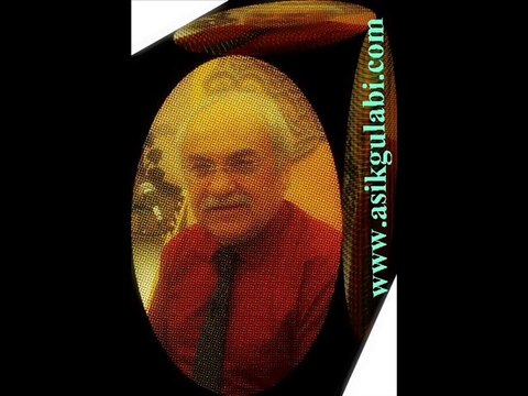 Aşık Gülabi & Hangi Dagın Ardındasın ( Anam Toprak Albümünden )