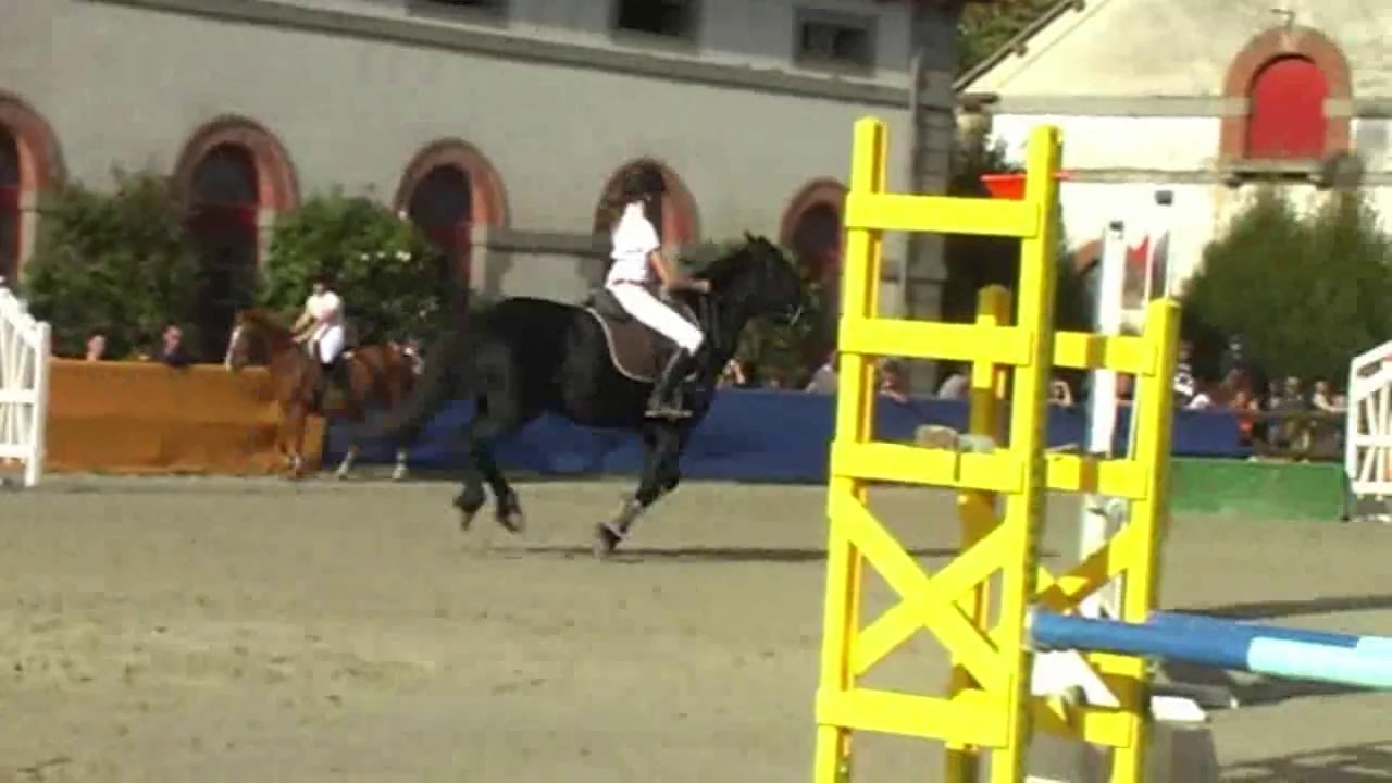 AEQUI22 Lamballe 1er concours 19 octobre 2014