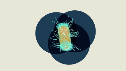 Can we colonize Mars- - THE BIG FUTURE