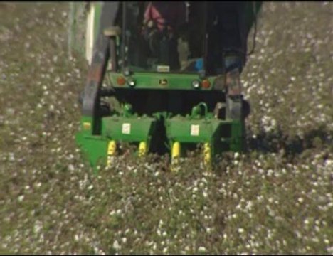 Νέα ερώτηση στη Βουλή για τον Οργανισμό Κωπαίδας από τον Γιάννη Σταθά