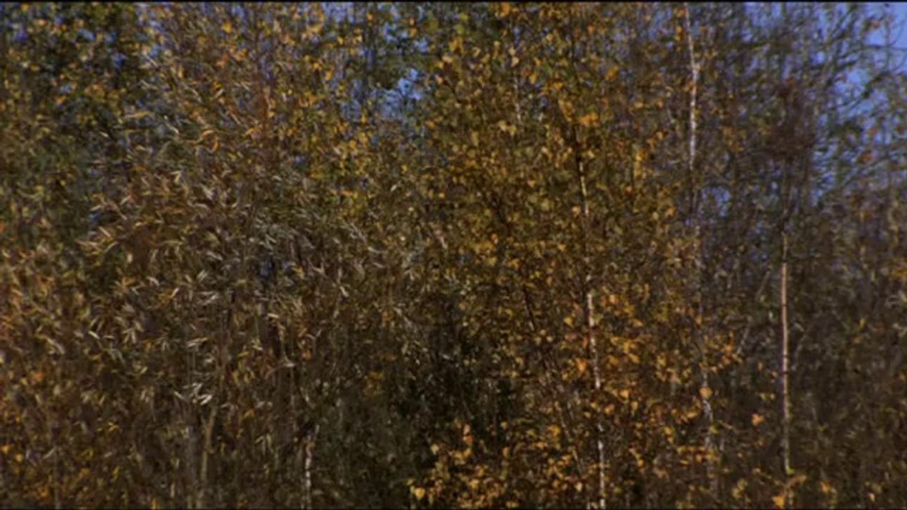 Je Suis Bande Annonce (Documentaire 2012)