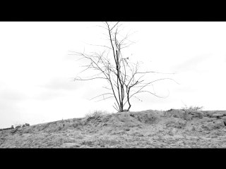 Jogi Final Match Highlights 🏆