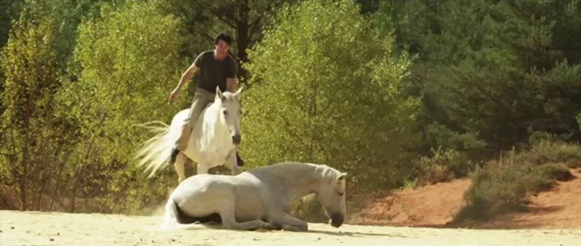 Gazelle Bande Annonce