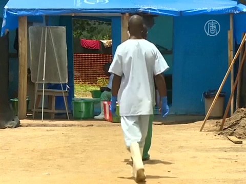 Вакцины от Эболы испытают на добровольцах