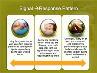 Primal Burn - Paleo Fat Burning System Chapter 3