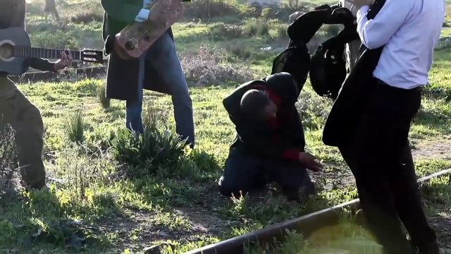 C'EST EUX LES CHIENS Bande Annonce du film (2014)