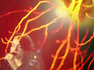 Тени Туи Белое дерево