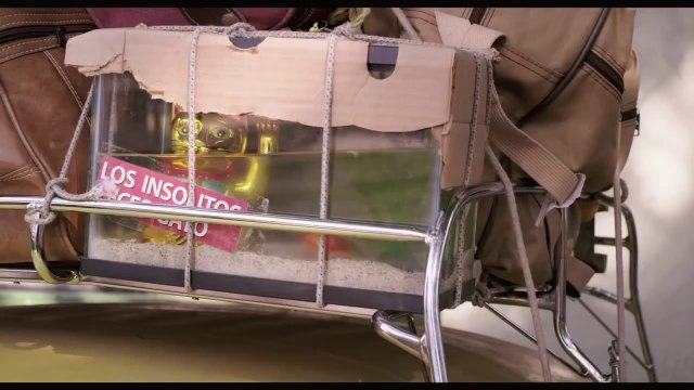 LES DROLES DE POISSONS CHATS Bande Annonce (2014)