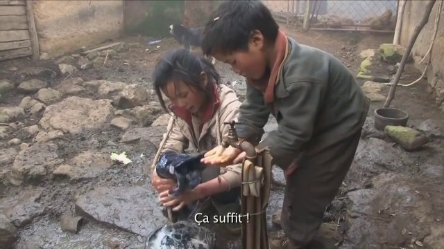LES TROIS SOEURS DU YUNNAN Bande Annonce