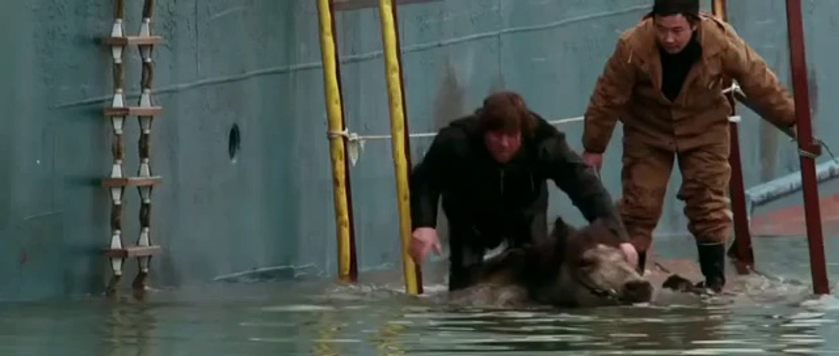 DES CHEVAUX ET DES HOMMES Bande Annonce (2014)