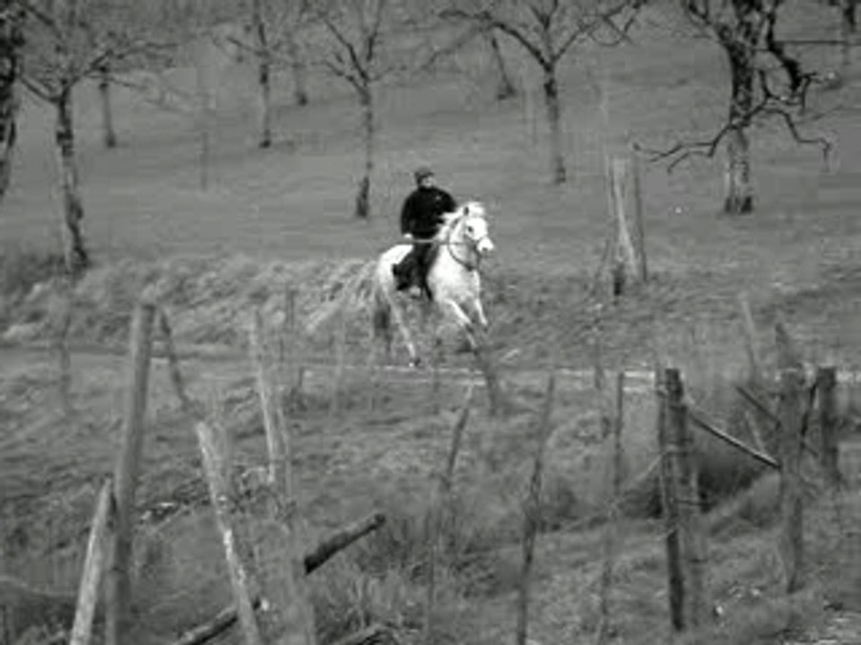 galop  avec mon djymy